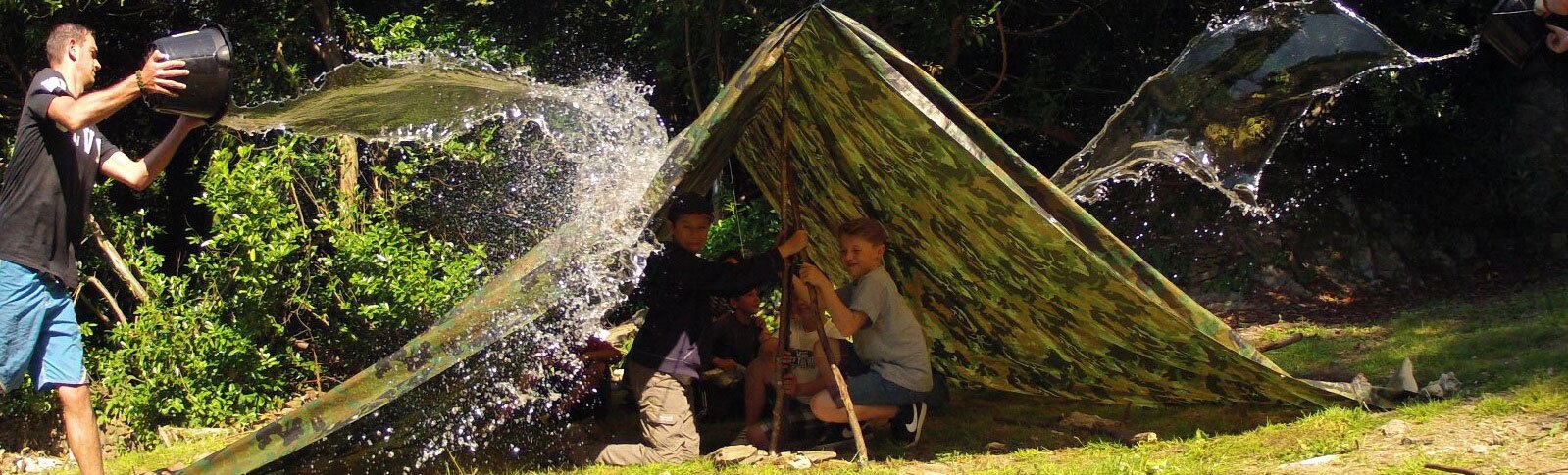 BEES UK - Header Image